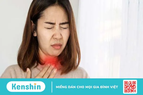 1 quả bưởi bao nhiêu calo? Ăn bưởi có giảm cân không và lưu ý khi ăn