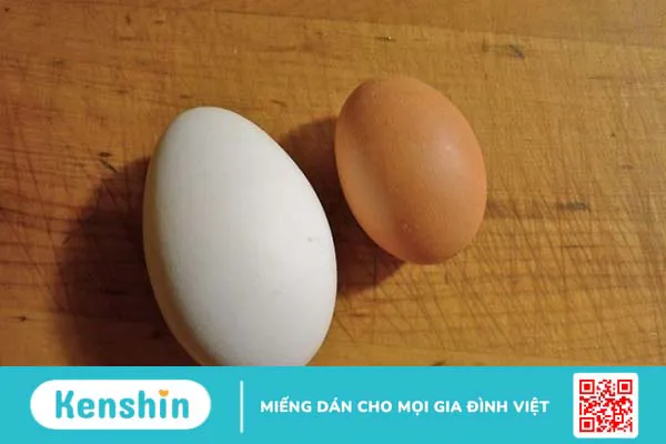 1 quả trứng gà bao nhiêu calo? Ăn nhiều trứng gà có tốt không?