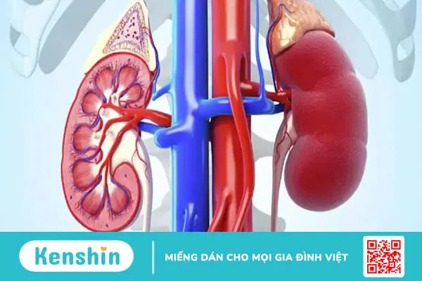 1 quả trứng gà bao nhiêu calo? Ăn nhiều trứng gà có tốt không?