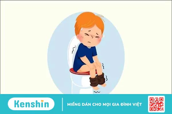 1 trái vú sữa bao nhiêu calo? Ăn vú sữa có mập không? Cách ăn giảm cân