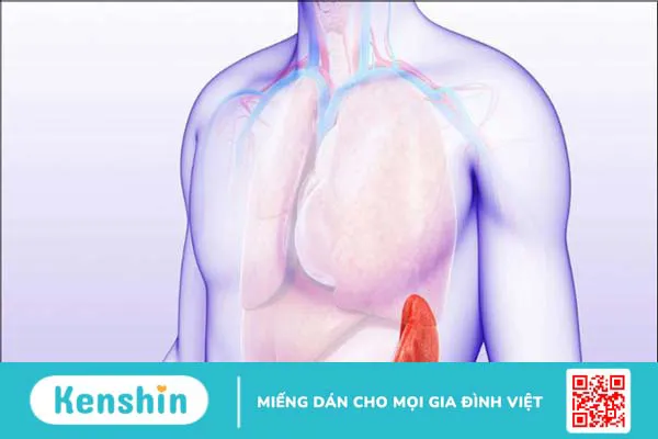 10 biến chứng xơ gan bạn không nên xem thường