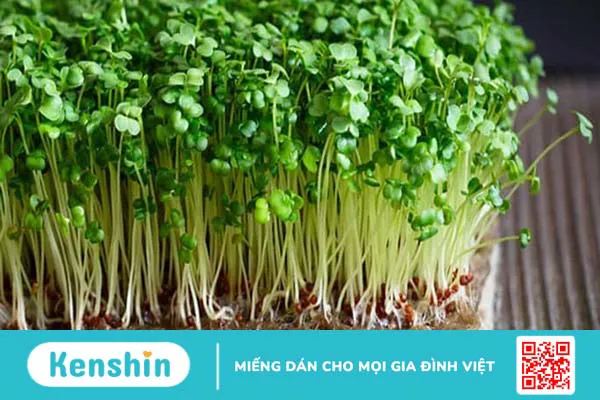 10 cách ăn uống giảm mỡ bụng bạn không thể bỏ qua!