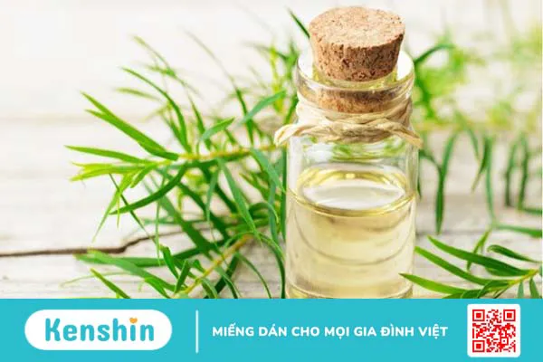 10 cách chữa viêm âm đạo tại nhà an toàn, hiệu quả và cách phòng ngừa