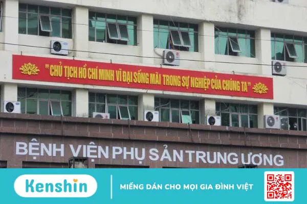 10 cách chữa viêm âm đạo tại nhà an toàn, hiệu quả và cách phòng ngừa