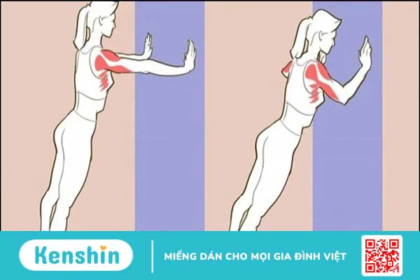 10 cách giảm mỡ bắp tay nhanh, HIỆU QUẢ NHANH, đơn giản ngay tại nhà