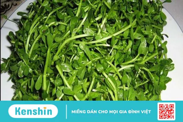 10 cách trị sỏi bàng quang dân gian hiệu quả, đơn giản tại nhà