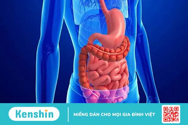 10 công dụng của tinh bột nghệ và cách uống tinh bột nghệ