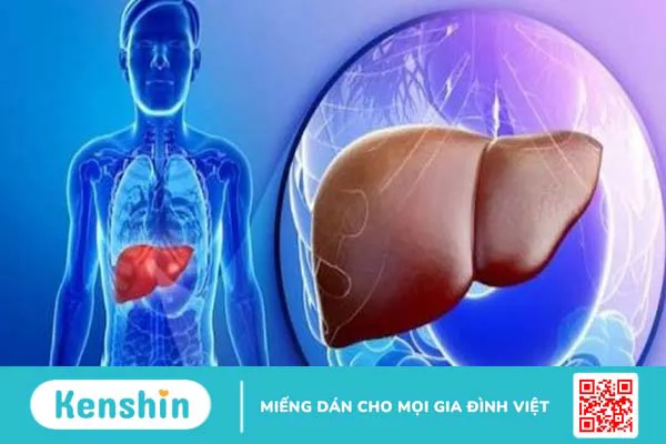 10 công dụng của tinh bột nghệ và cách uống tinh bột nghệ