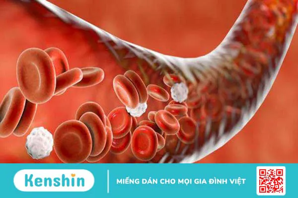 10 công dụng của tinh bột nghệ và cách uống tinh bột nghệ