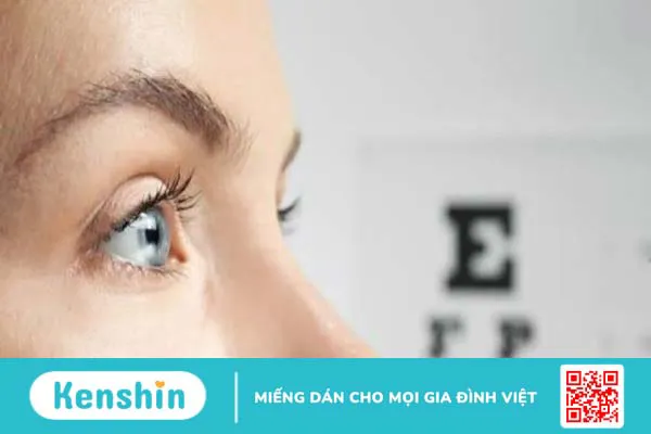 10 công dụng lá dương xỉ tốt cho sức khỏe của bạn