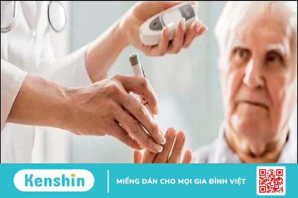 10 công dụng lá dương xỉ tốt cho sức khỏe của bạn