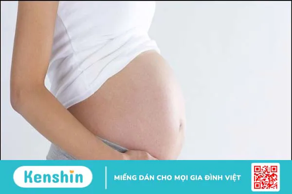 10 công dụng lá dương xỉ tốt cho sức khỏe của bạn