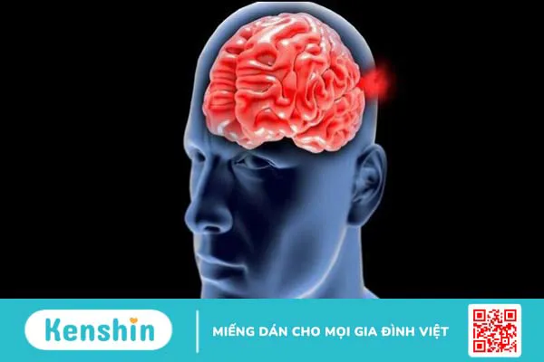 10 nguyên nhân rối loạn tiền đình phổ biến bạn nên lưu ý