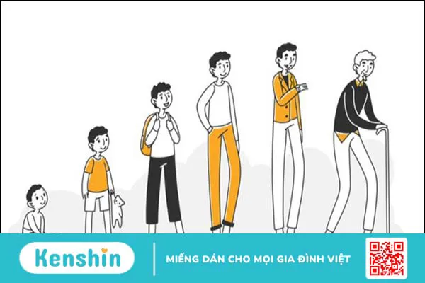 10 nguyên nhân rối loạn tiền đình phổ biến bạn nên lưu ý