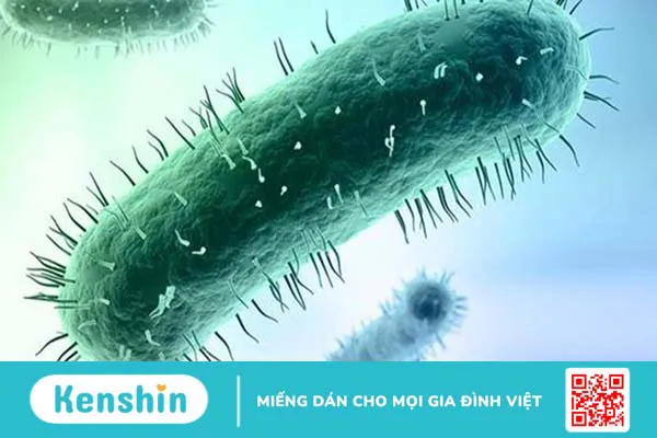 10 nguyên nhân viêm phế quản mà bạn cần chú ý