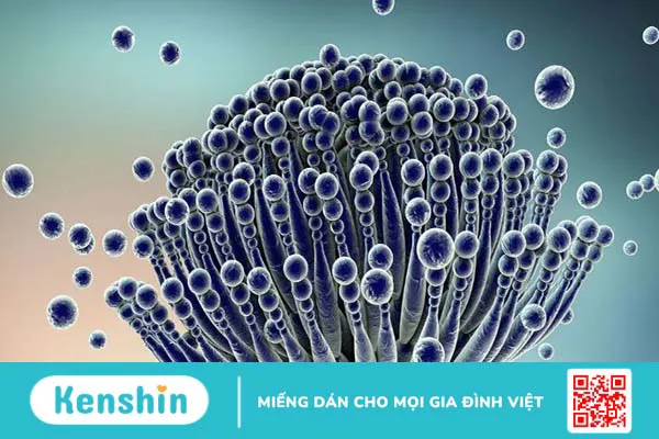 10 phương pháp tầm soát ung thư gan? Ai nên tầm soát sớm?