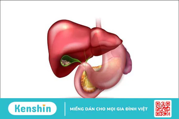 10 phương pháp tầm soát ung thư gan? Ai nên tầm soát sớm?