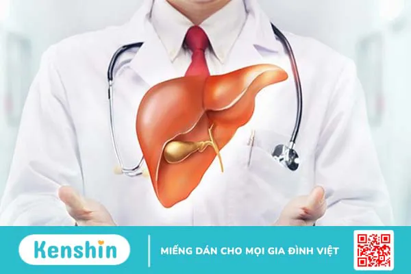 10 tác dụng của bạch đậu khấu bạn không nên bỏ qua