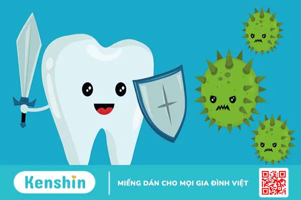 10 tác dụng của bạch đậu khấu bạn không nên bỏ qua