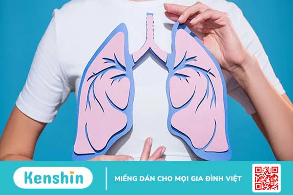 10 tác dụng của bạch đậu khấu bạn không nên bỏ qua