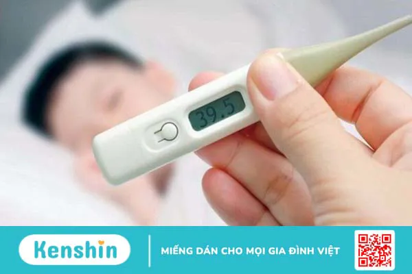 10 tác dụng của rau kinh giới đối với sức khoẻ có thể bạn chưa biết