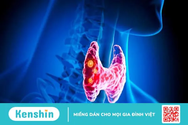 10 tác dụng của rong biển đối với sức khỏe và lưu ý khi sử dụng