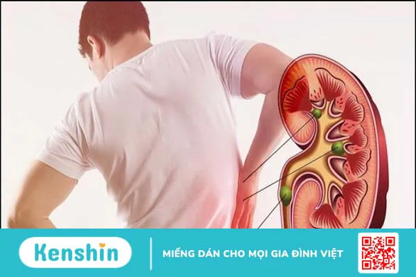 10 tác dụng phụ của tảo xoắn Nhật Bản và lưu ý khi sử dụng