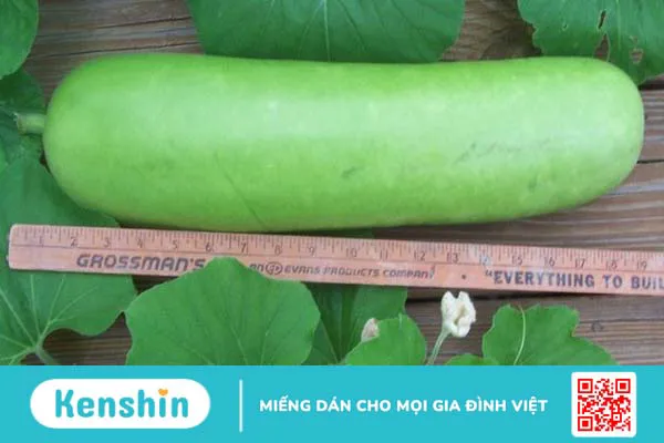 100g bầu bao nhiêu calo? Ăn bầu có giảm cân không? Cách ăn giảm cân