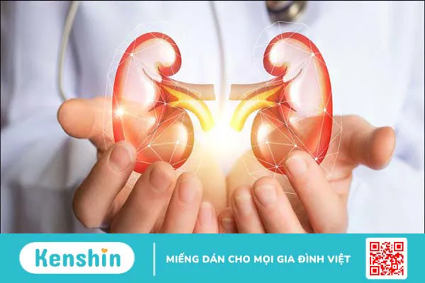 100g đu đủ bao nhiêu calo? Ăn đu đủ có béo không và lưu ý khi ăn