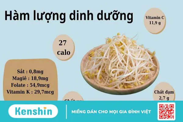 100g giá đỗ bao nhiêu calo? Ăn giá đỗ có tăng cân không? Lưu ý khi ăn