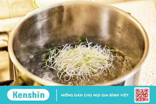 100g giá đỗ bao nhiêu calo? Ăn giá đỗ có tăng cân không? Lưu ý khi ăn