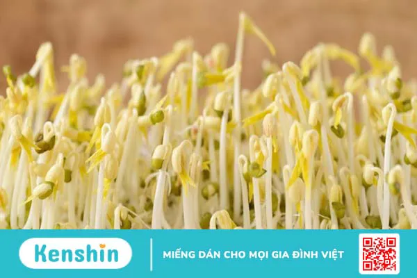 100g giá đỗ bao nhiêu calo? Ăn giá đỗ có tăng cân không? Lưu ý khi ăn