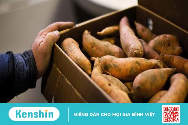 100g khoai lang bao nhiêu calo? Ăn khoai lang có giảm cân không?