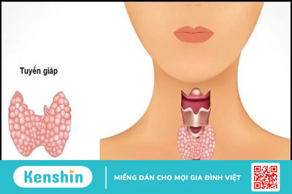 100g thịt bò bao nhiêu calo? Ăn thịt bò có béo không và lưu ý khi ăn