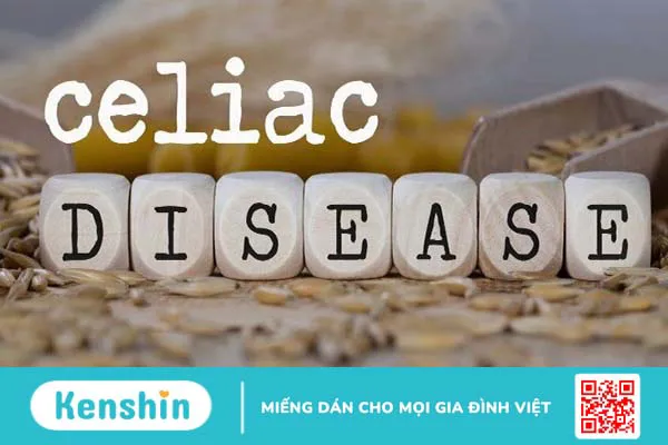 100g yến mạch bao nhiêu calo? Cách ăn yến mạch giảm cân tại nhà