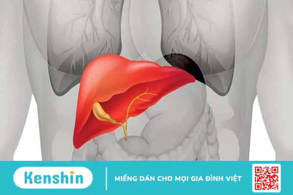 11 bệnh về máu thường gặp, nguyên nhân và cách phòng ngừa