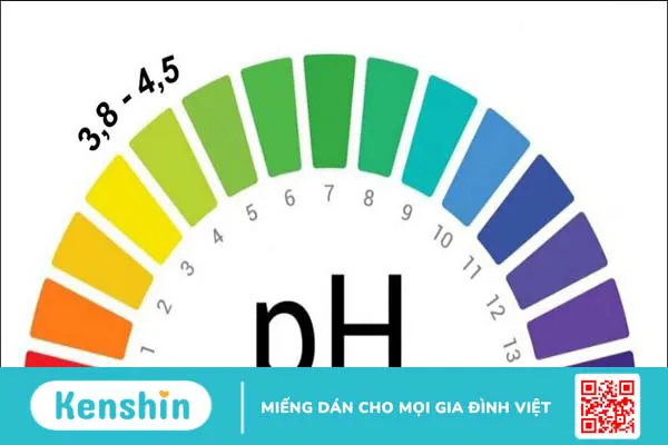 11 cách chăm sóc vùng kín – Các nguyên tắc nhất định nàng phải lưu ý