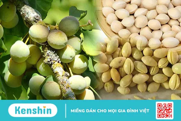 11 cách chữa rối loạn cương dương tại nhà an toàn, hiệu quả