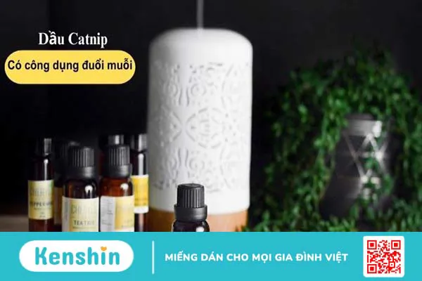 11 cách đuổi muỗi tự nhiên, an toàn, hiệu quả bạn nên biết