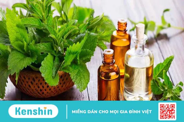 11 cách đuổi muỗi tự nhiên, an toàn, hiệu quả bạn nên biết