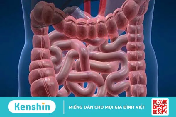 11 cách hết buồn nôn khi say rượu hiệu quả vào dịp tết và các lưu ý