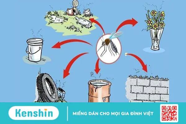 11 cách phòng chống bệnh sốt xuất huyết vào mùa mưa không thể bỏ qua