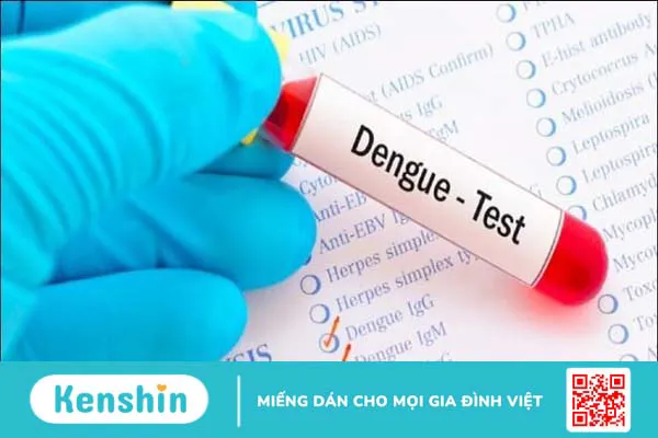 11 cách phòng chống bệnh sốt xuất huyết vào mùa mưa không thể bỏ qua