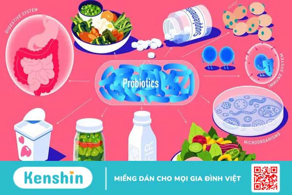 11 cách trị nấm vùng kín nữ tại nhà an toàn, hiệu quả bạn nên biết