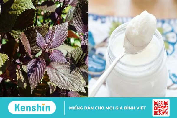 11 cách trị tàn nhang bằng lá tía tô đơn giản và hiệu quả tại nhà