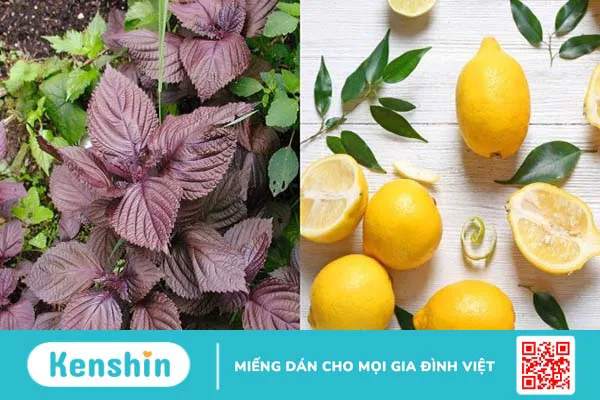 11 cách trị tàn nhang bằng lá tía tô đơn giản và hiệu quả tại nhà