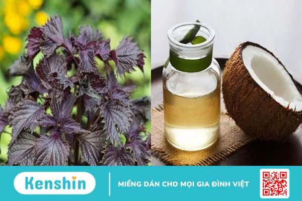 11 cách trị tàn nhang bằng lá tía tô đơn giản và hiệu quả tại nhà