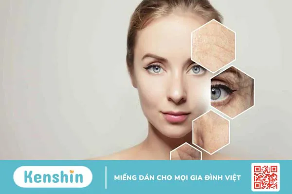 11 lợi ích của nhuỵ hoa nghệ tây, cách uống và lưu ý khi dùng