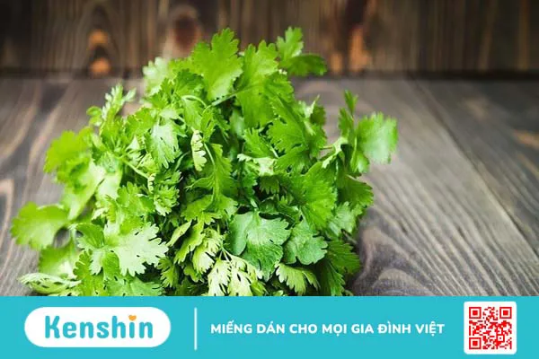 11 lợi ích sức khỏe của rau mùi có thể bạn chưa biết