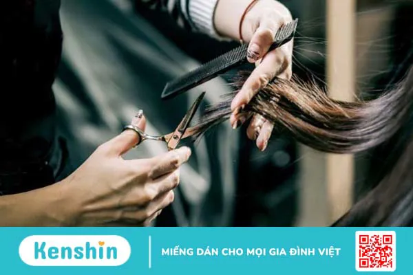 11 mẹo chăm sóc tóc tại nhà đúng cách đơn giản bạn nên biết